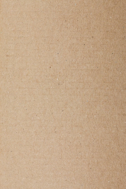 Fond de texture rayée de papier brun.