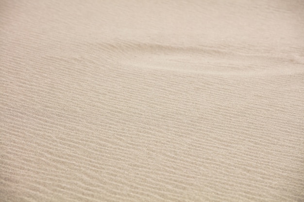 Fond et texture de sable sur une plage en été