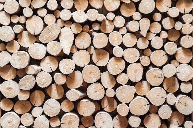 Fond et texture de souche en bois coupés à sec.