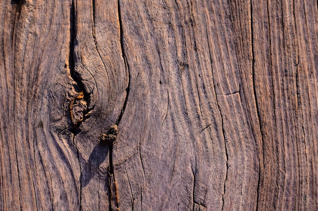 Fond de texture de surface en bois sec brun