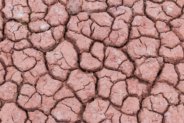 Fond de texture de terre fissurée à sec