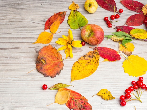 Fond de Thanksgiving d'automne avec espace de copie de feuilles mélangées colorées Maquette pour l'offre saisonnière