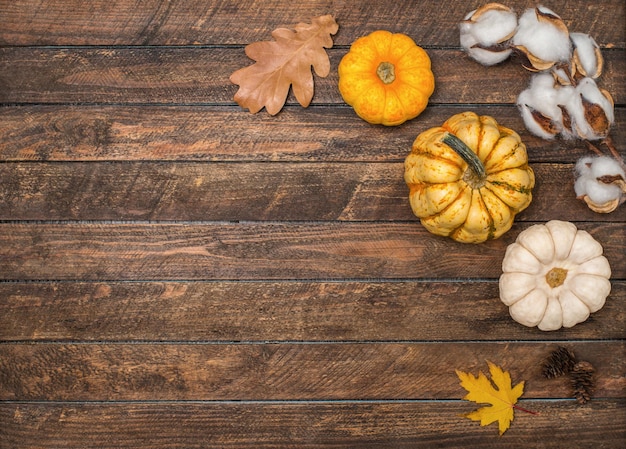 Fond de Thanksgiving Citrouilles coton et feuilles sur fond de bois