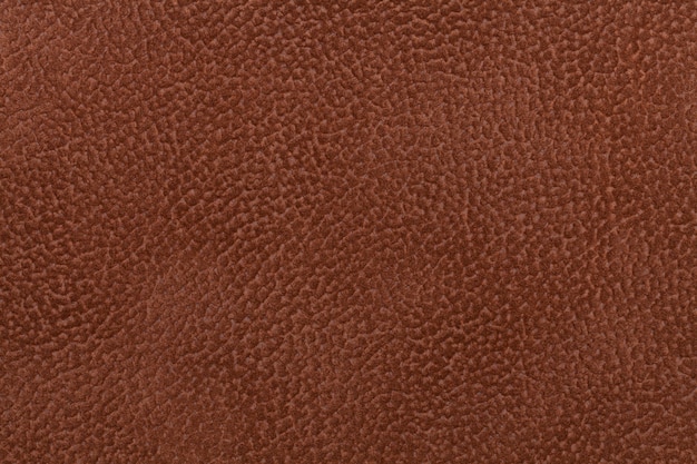 Fond de tissu marron foncé décoré avec un manteau animal.