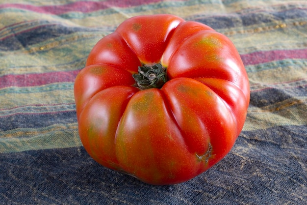 Fond de tomate bio et rouge