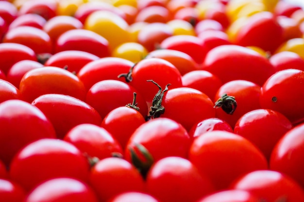 Fond de tomate biologique mûre rouge