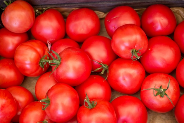 Fond de tomate