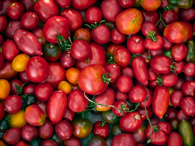 Fond de tomates rouges mûres