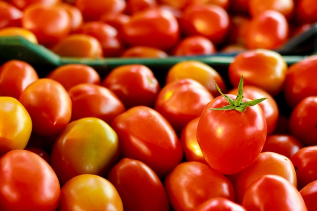 fond de tomates rouges