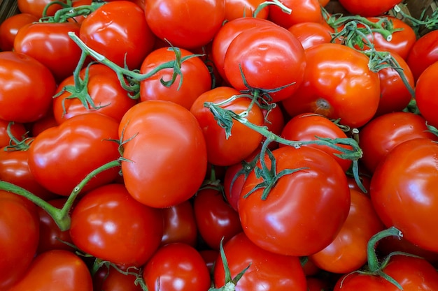 Fond de tomates. Variété de tomates fraîches cultivées dans la boutique.