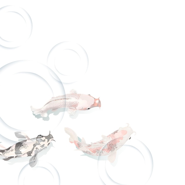 Le fond transparent de la bordure de poisson png