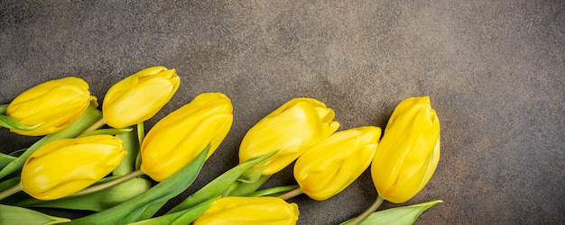 Photo fond de tulipes jaunes