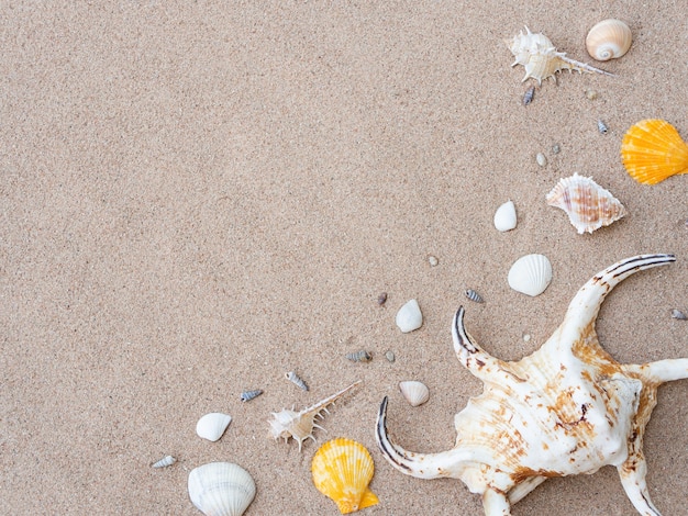 Fond de vacances d&#39;été mer avec un espace pour le texte