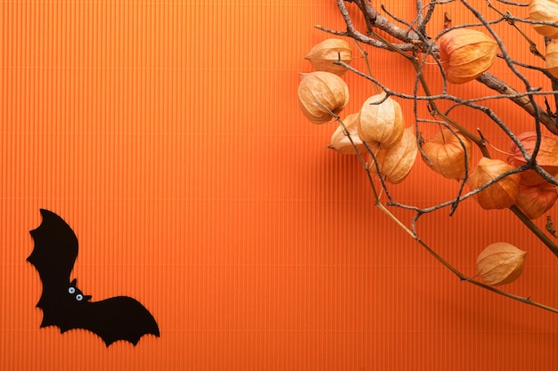 Fond de vacances Halloween Chauve-souris citrouille orange avec des yeux drôles toile d'araignée vieilles feuilles et branches de forêt effrayante sur fond orange Carte d'Halloween heureuse Décoration d'automne Vue de dessus