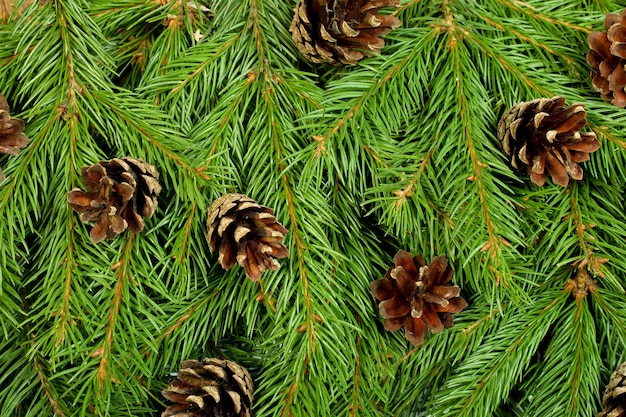 Fond de veille de Noël isolé sur fond blanc