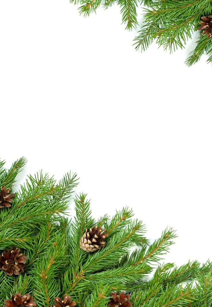 Photo fond de veille de noël isolé sur fond blanc