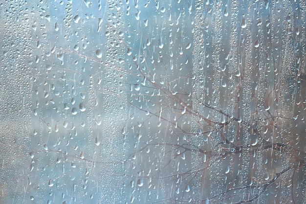 fond de verre humide d'automne / branches d'automne à l'extérieur de la fenêtre, pluie, temps humide, concept fond saisonnier