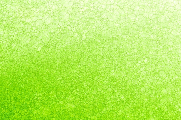 Fond vert clair Gros plan de gouttes d'huile dans l'eau Macro Photo abstraite