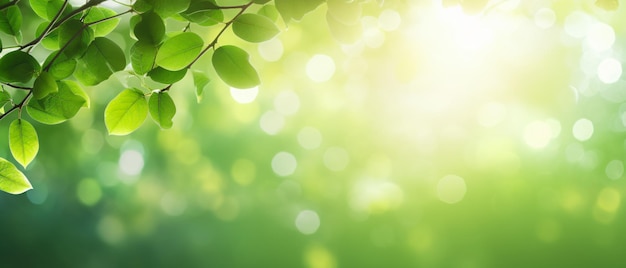 Fond vert d'été abstrait avec des feuilles vertes