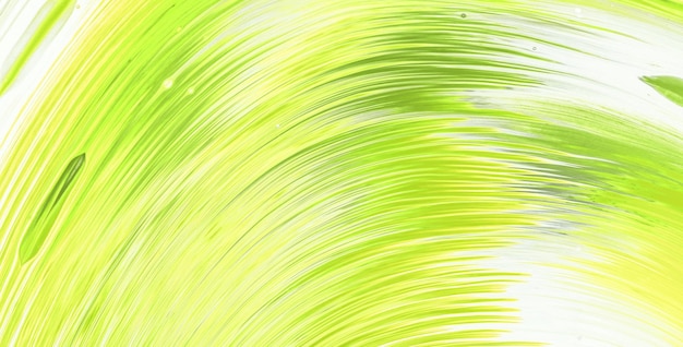 Fond vert avec une tache blanche au milieu