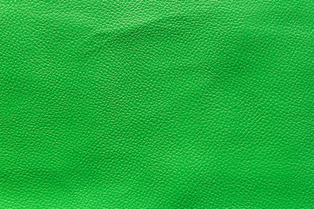 Fond vert de texture de feuille de cuir vert