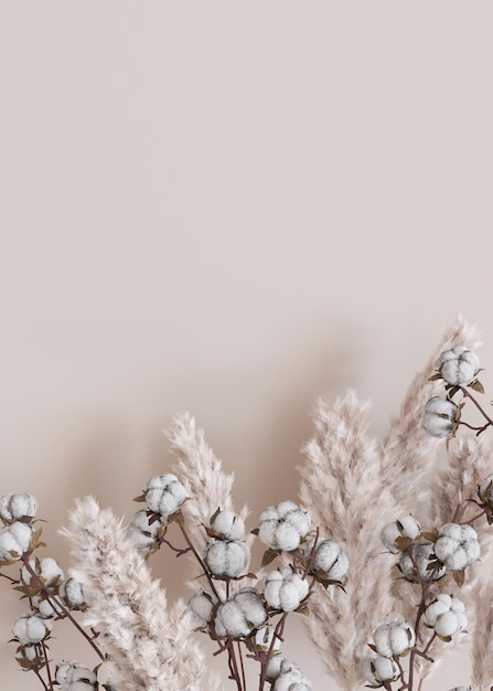 Fond vertical beige avec des plantes séchées et un espace vide pour le texte Bordure inférieure avec espace de copie Herbe de pampa réaliste et plants de coton Rendu 3D