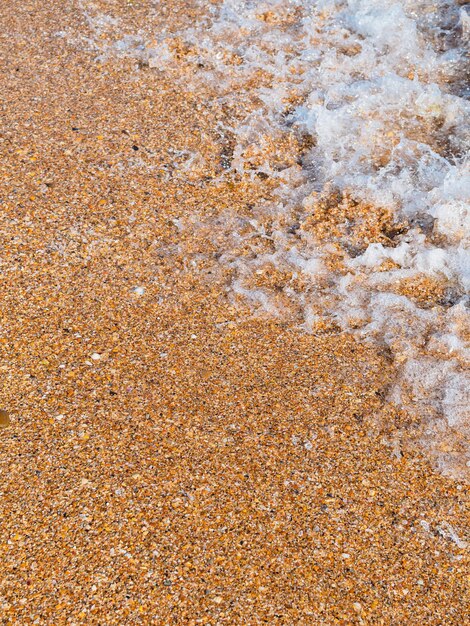 Fond vertical marin libre d'une vague sur la plage