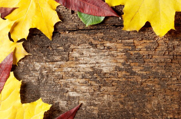 Fond des vieilles planches en bois