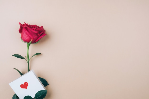 Fond de voeux avec une rose et une note d'amour. Espace pour le texte