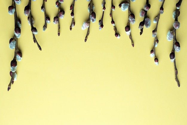 Photo fond de vue de dessus de pâques de printemps avec des brindilles de saule