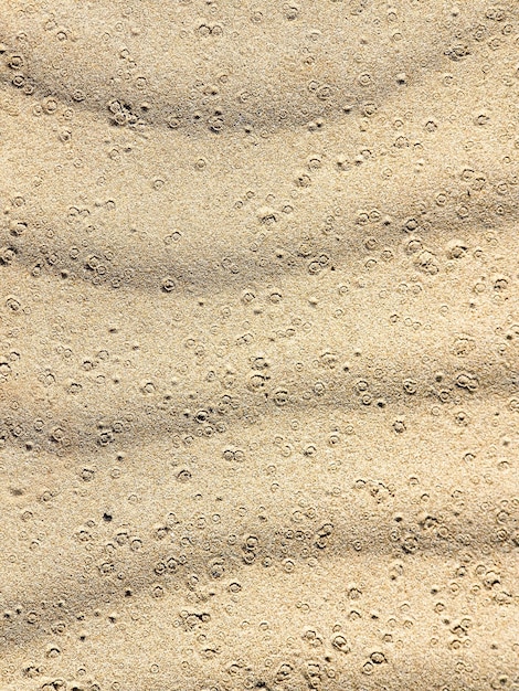 Photo fondo de arena en las dunas