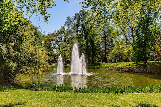 Fontaine au milieu d'un lac artificiel dans un parc avec une végétation verte