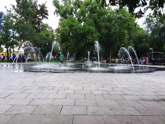 Fontaine dans le parc