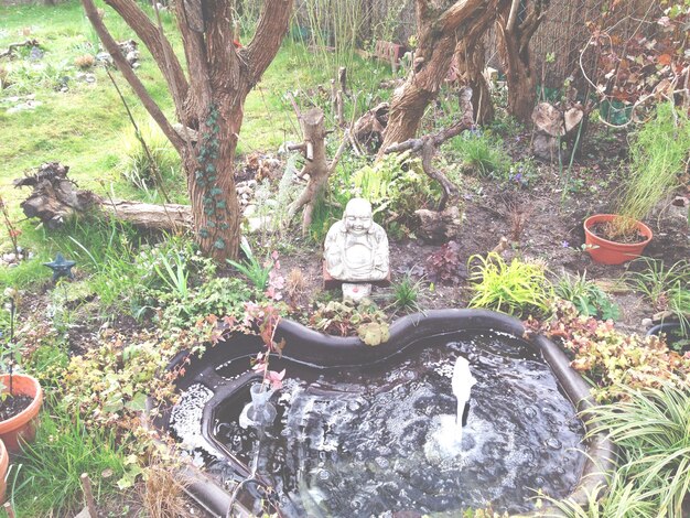 Photo fontaine dans le parc