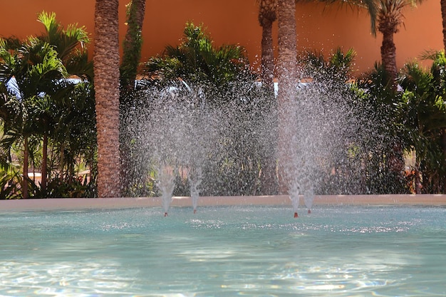 Fontaine dans un parc