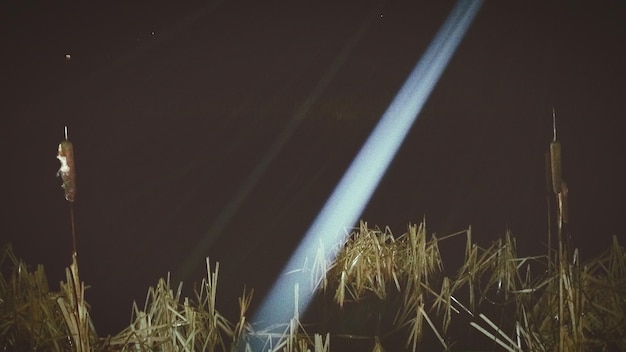 Photo une fontaine éclairée la nuit.