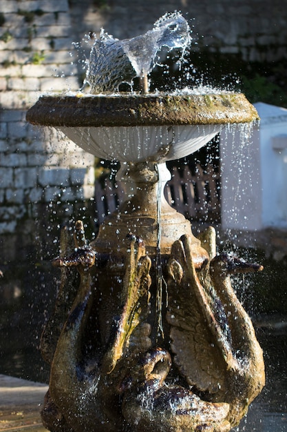 Fontaine avec sculptures d'oies