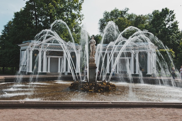 Fontaine Veille 1101