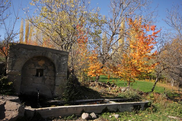 Fontaine