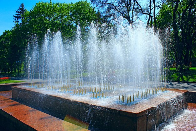 Fontaines dans le parc de la ville