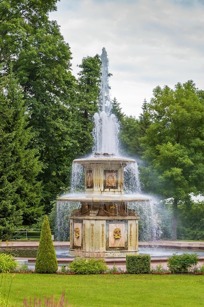 Photo des fontaines romaines dans le parc inférieur de peterhof, en russie