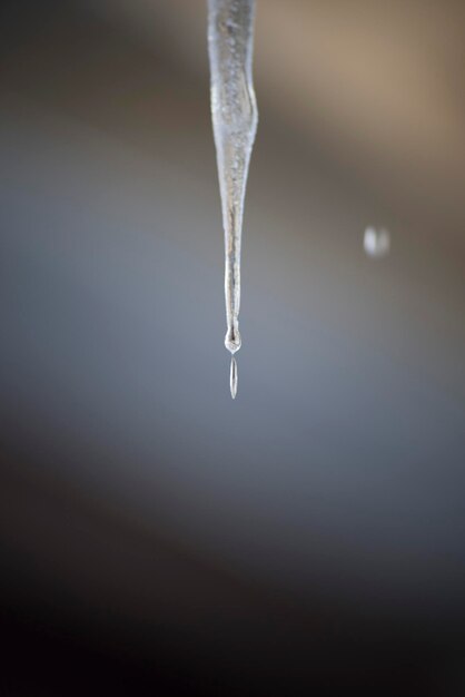 fonte de la glace