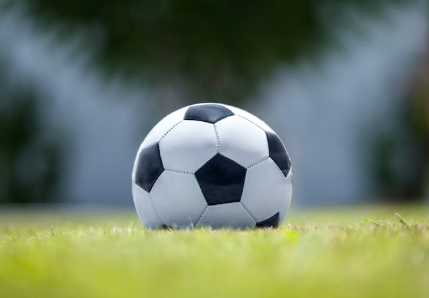 Football sur l'herbe verte