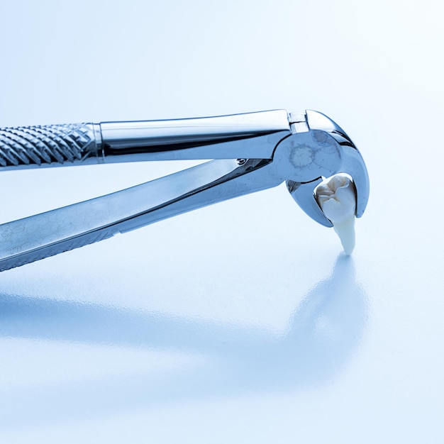 Forceps de dent de sagesse par le dentiste pour le traitement dentaire