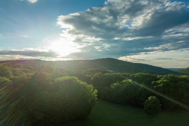 Forêt aérienne en journée d'été ensoleillée du haut. Soleil et soleil éclatant.