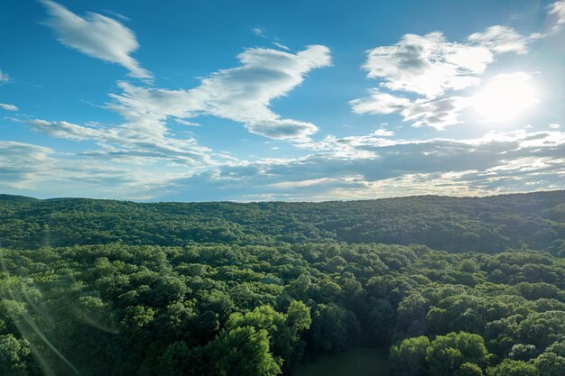 Forêt aérienne en journée d'été ensoleillée du haut. Soleil et soleil éclatant.