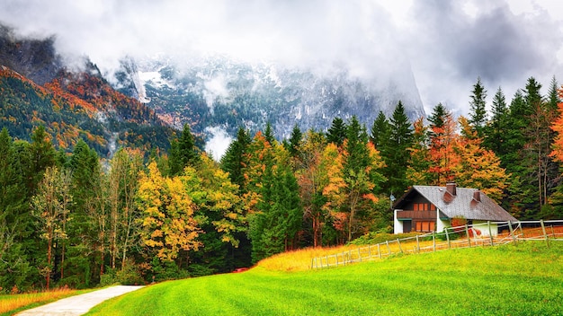 Forêt alpine à l'automne près du lac Grundlsee