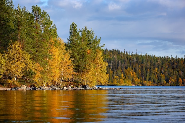 Forêt au feuillage coloré sur les rives du lac Imandra Paysage d'automne Péninsule de Kola