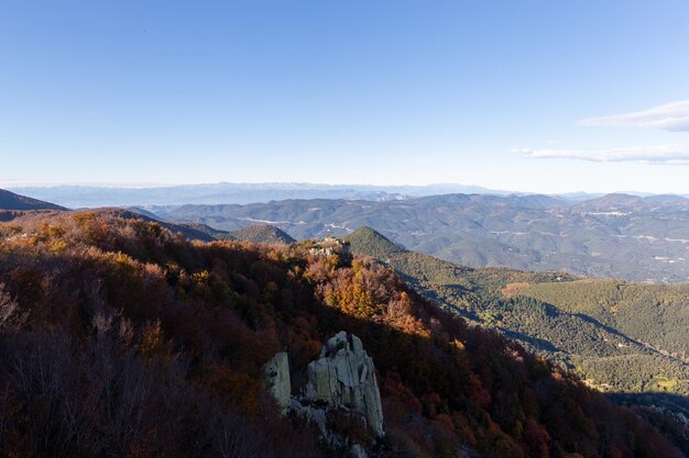 Forêt en automne avec des arbres colorés