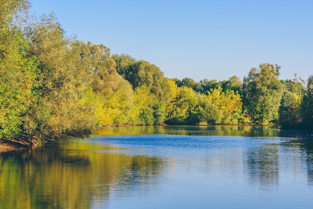 Forêt d'automne au bord du lac avec réflexion sur la surface de l'eau